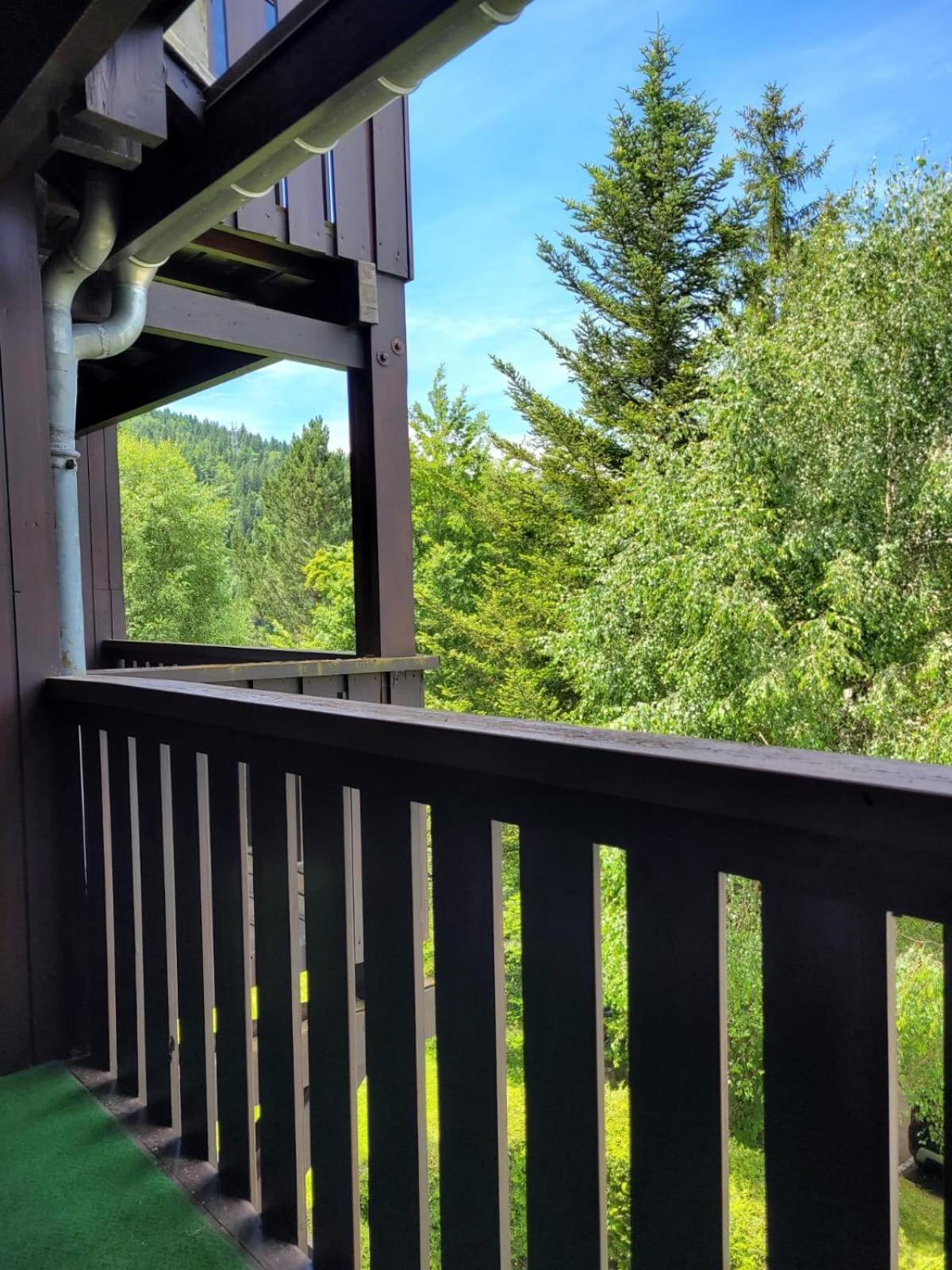 Chalets Du Village - Tily Home - Studio Centre Village 维拉尔-德朗 外观 照片